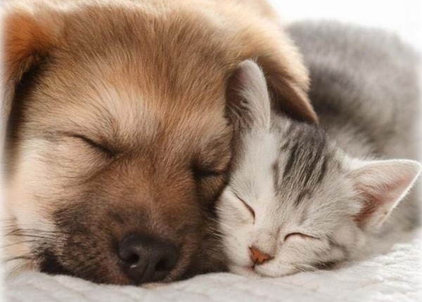 ご自宅で安心できる療養環境