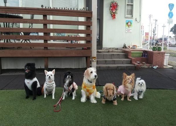 埼玉県・自宅deさんそ